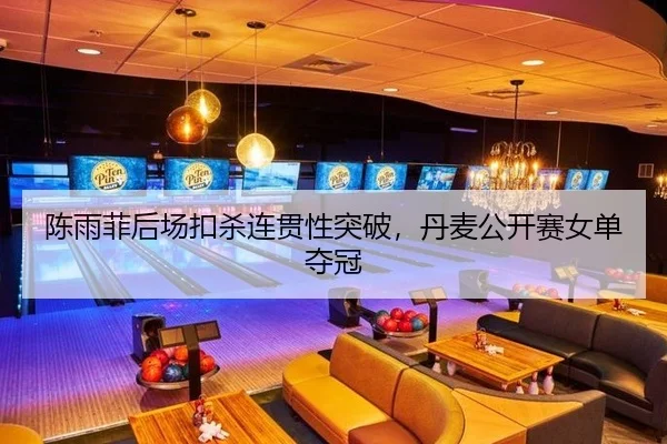 陈雨菲后场扣杀连贯性突破，丹麦公开赛女单夺冠